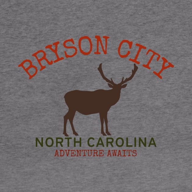 Bryson City, North Carolina by Mountain Morning Graphics